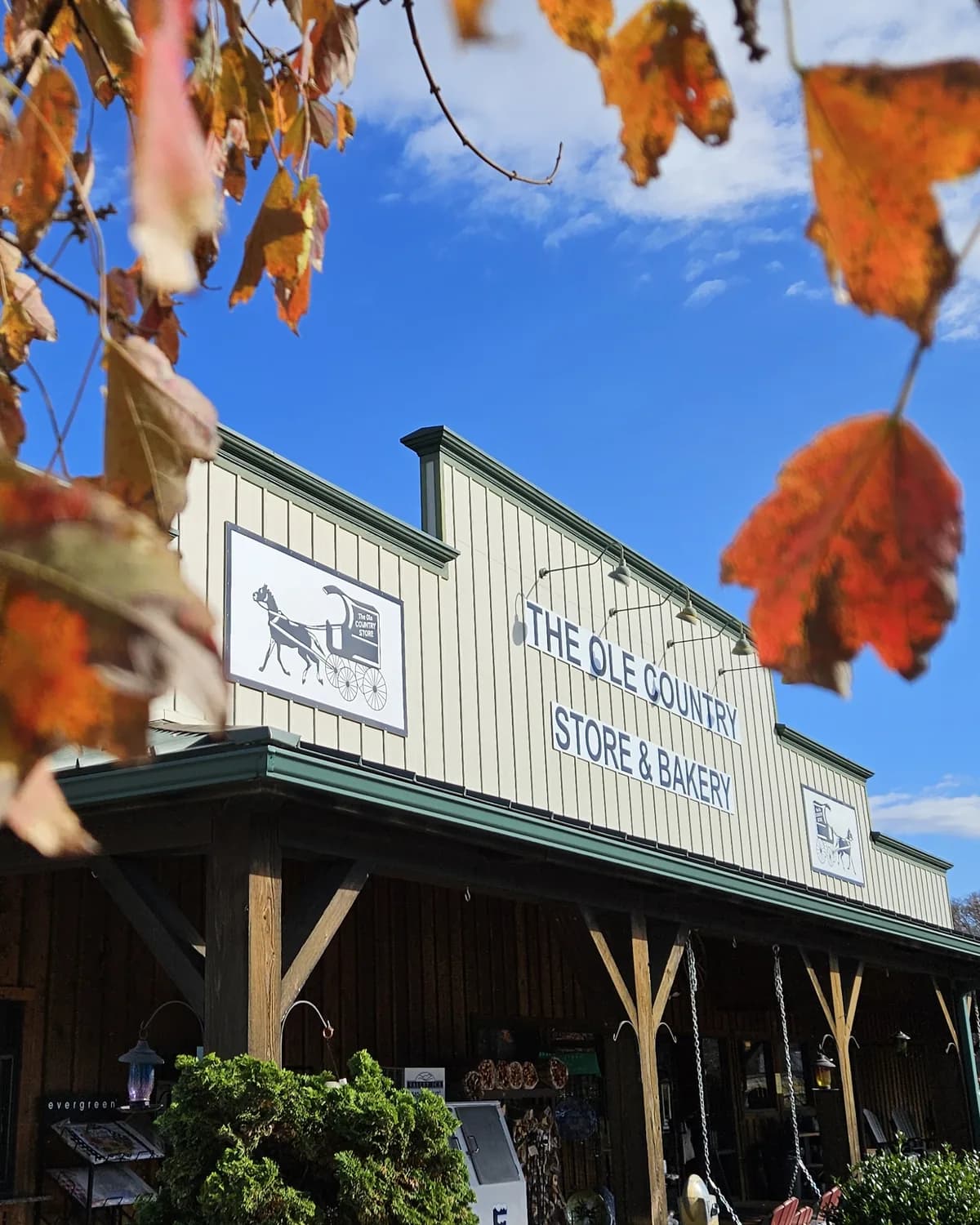The Ole Country Store & Bakery storefront framed by autumn leaves