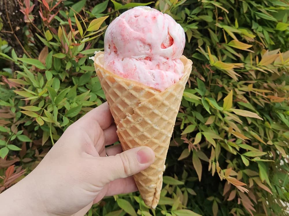 A scoop of strawberry ice cream in a house-made waffle cone